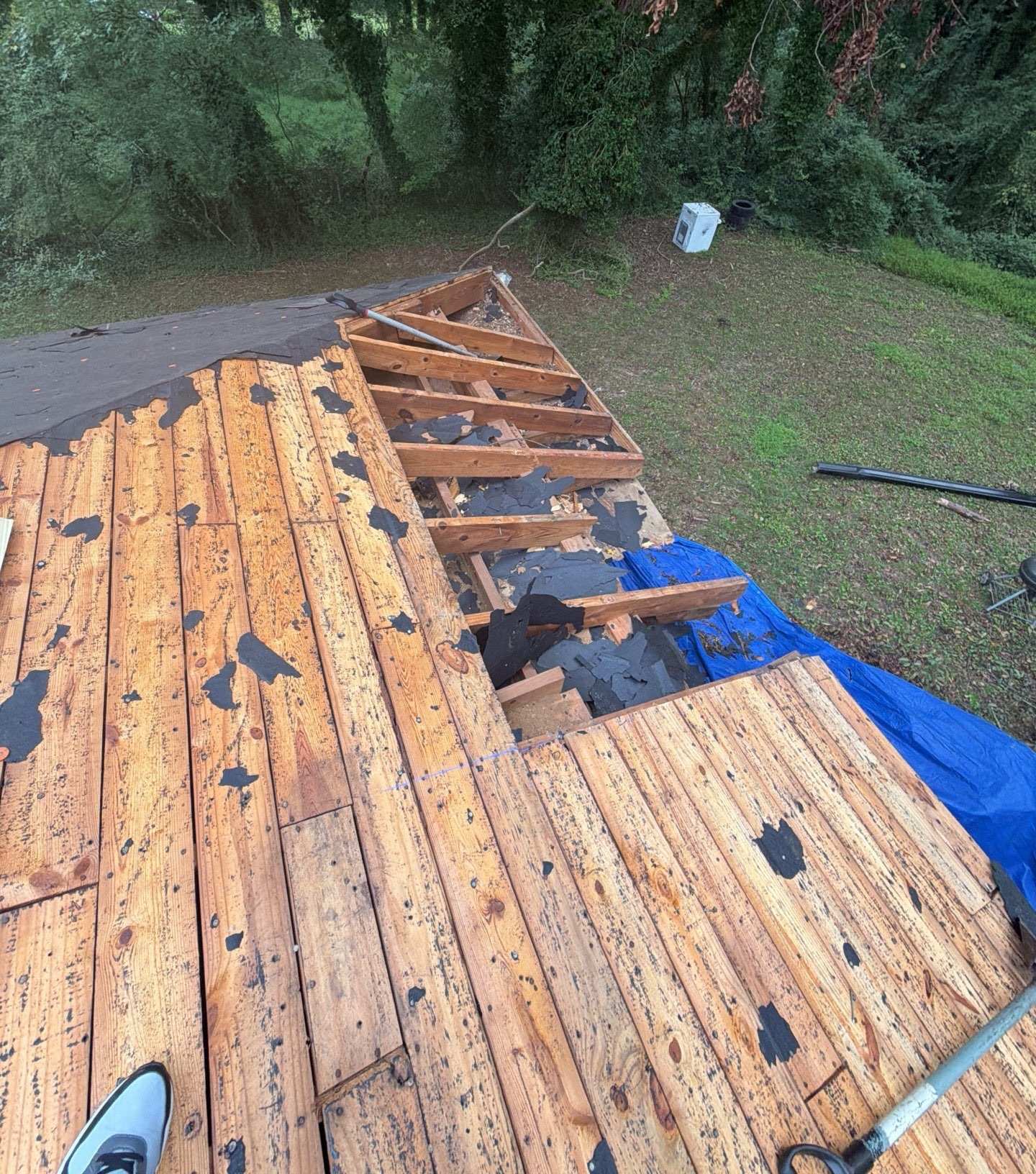 Open roof framing where the tree broke through the deck in Atlanta GA